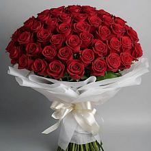 Букет 101 Красная роза Блэк Мэджик в Дровяной