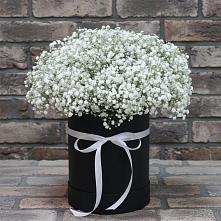 Цветочная композиция из Гипсофила в шляпной коробке #REPLACE_PRED# Дровяной