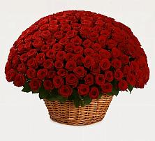 Премиум букет из: Розы в Дровяной